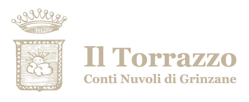 www.torrazzonuvoli.com